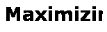 Text Box: Maximizing
